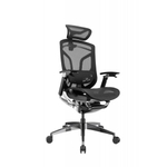 Премиум эргономичное кресло GT Chair Dvary Pro X, GTC-Dvary-ProX-GY, Серый