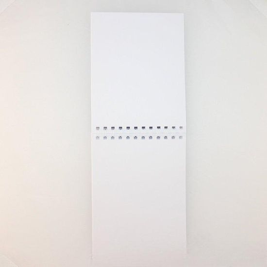 Блокнот Tokyo Ghoul, Токийский Гуль Канеки Кен