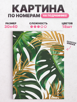 Монстера