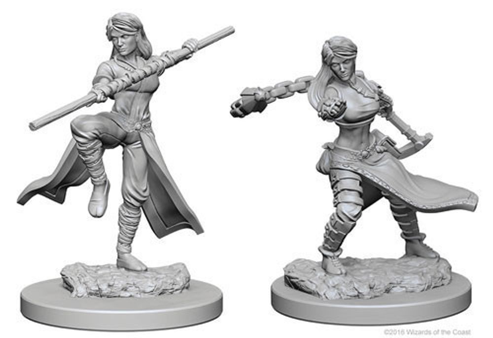 D&D Nolzur's Marvelous Unpainted Miniatures - Human Female Monk D&D Nolzur's Marvelous Unpainted Miniatures - Human Female Monk