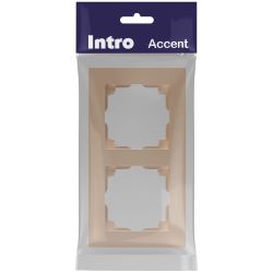 Рамка для розеток и выключателей Intro Accent 6-502-04 на 2 поста, СУ, шампань | Intro