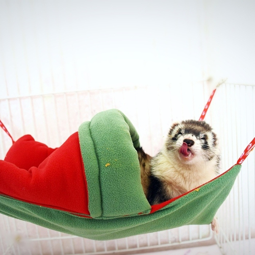 Гамак с карманом «Одеяло», размер L