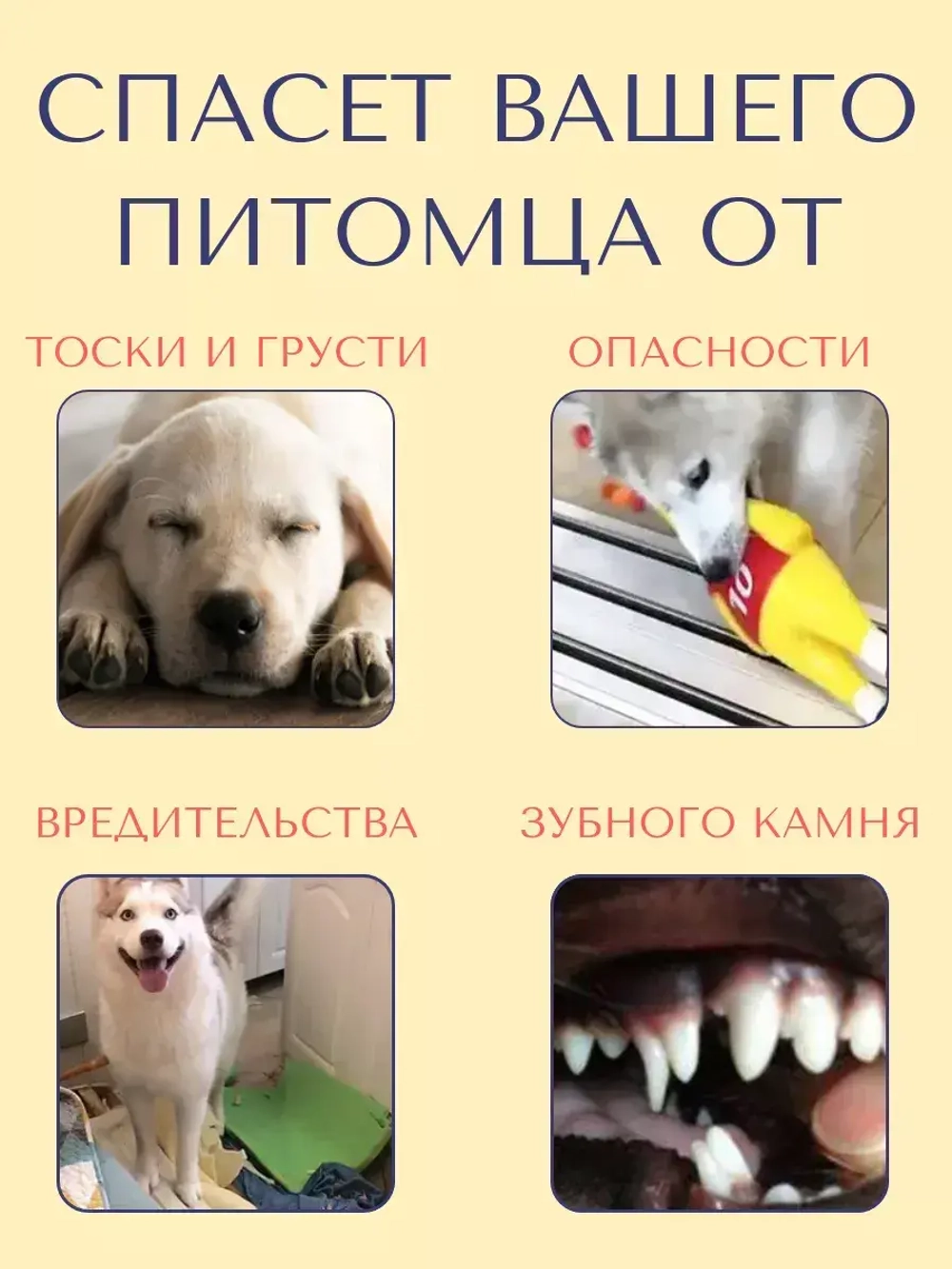 Прочная игрушка-мяч для собак средних-мелких пород