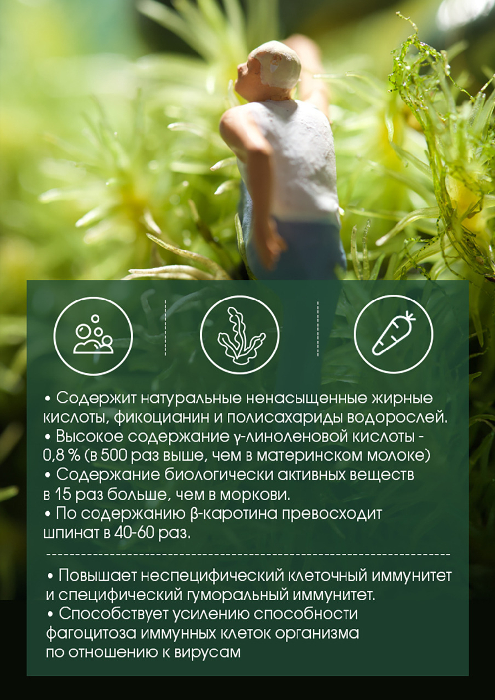 БАД к пищи "Спирулина в капсулах "Тяньши" (капсулы массой 250 мг)