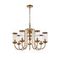 Подвесная люстра Favourite Energy 2926-7P