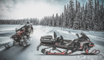 Кофр для снегохода Tesseract BRP Ski Doo Expedition/Lynx Commander, Ranger