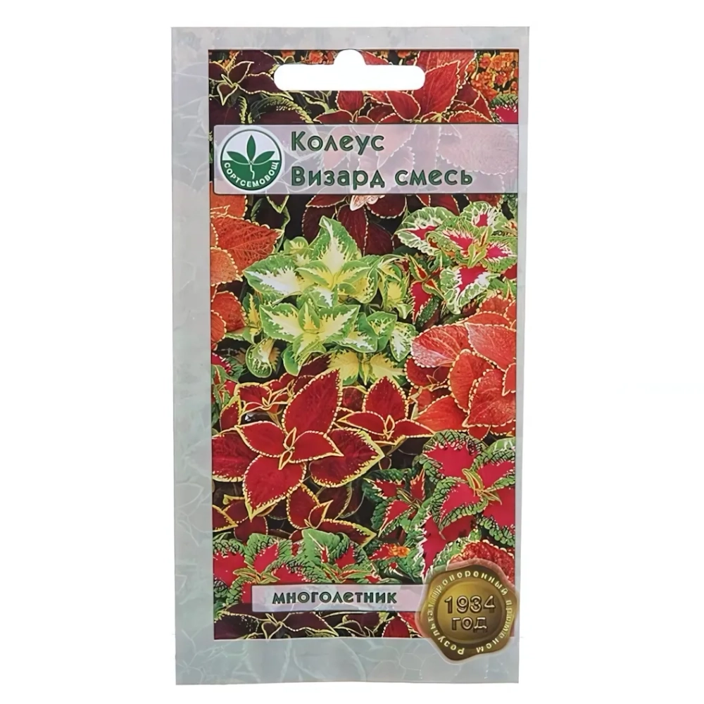 Семена Колеус смесь Визард 7шт