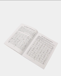 Лабиринты. Профилактика проблем с письмом. Рабочая нейротетрадь для дошкольников