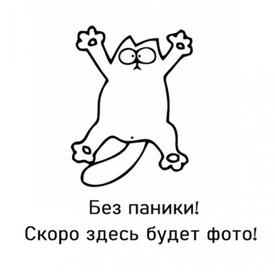 Дверь-купе NAIDY П, зеркало, профиль вишня
