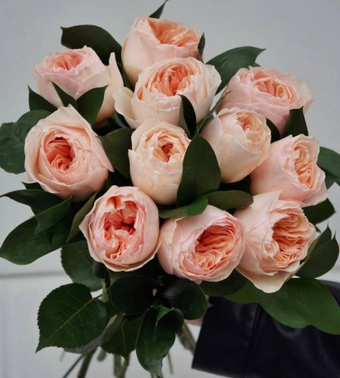 По виду розы