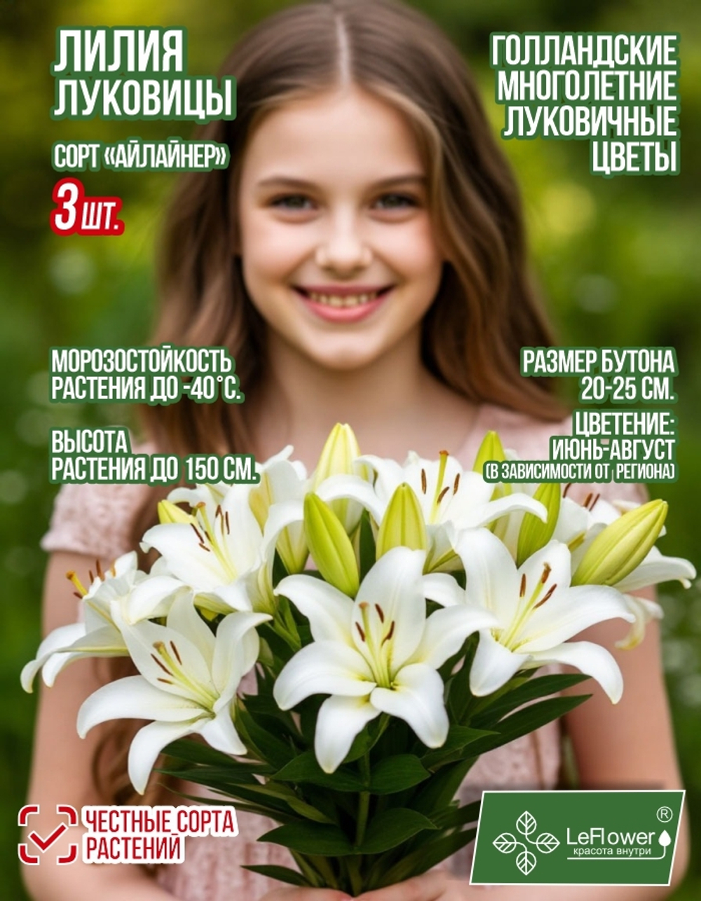 Лилия Луковица, Айлайнер, ЛА-гибрид, 3 шт