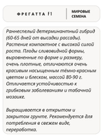 Семена томатов Фрегатта F1, 10 семян (Vita Green / Вита Грин)