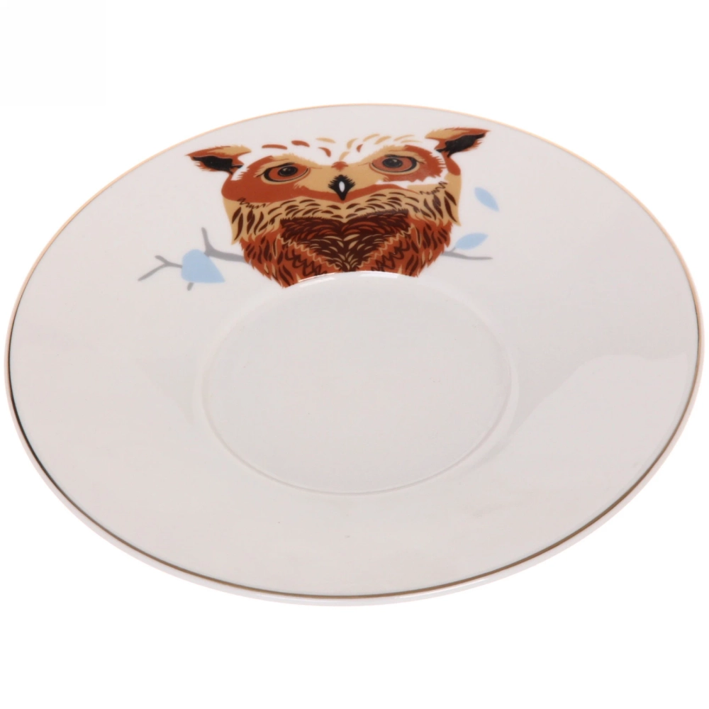 Чайная пара (зеркальная кружка 230мл+блюдце) анаморфный дизайн «Сова»