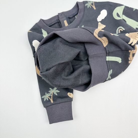 Свитшот "Динозавры" из футера с начесом, Графит