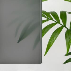 Душевой уголок стекло, полукруглый с раздвижными дверями на роликах - RGW CL-56 (Тонированное, 900x900)