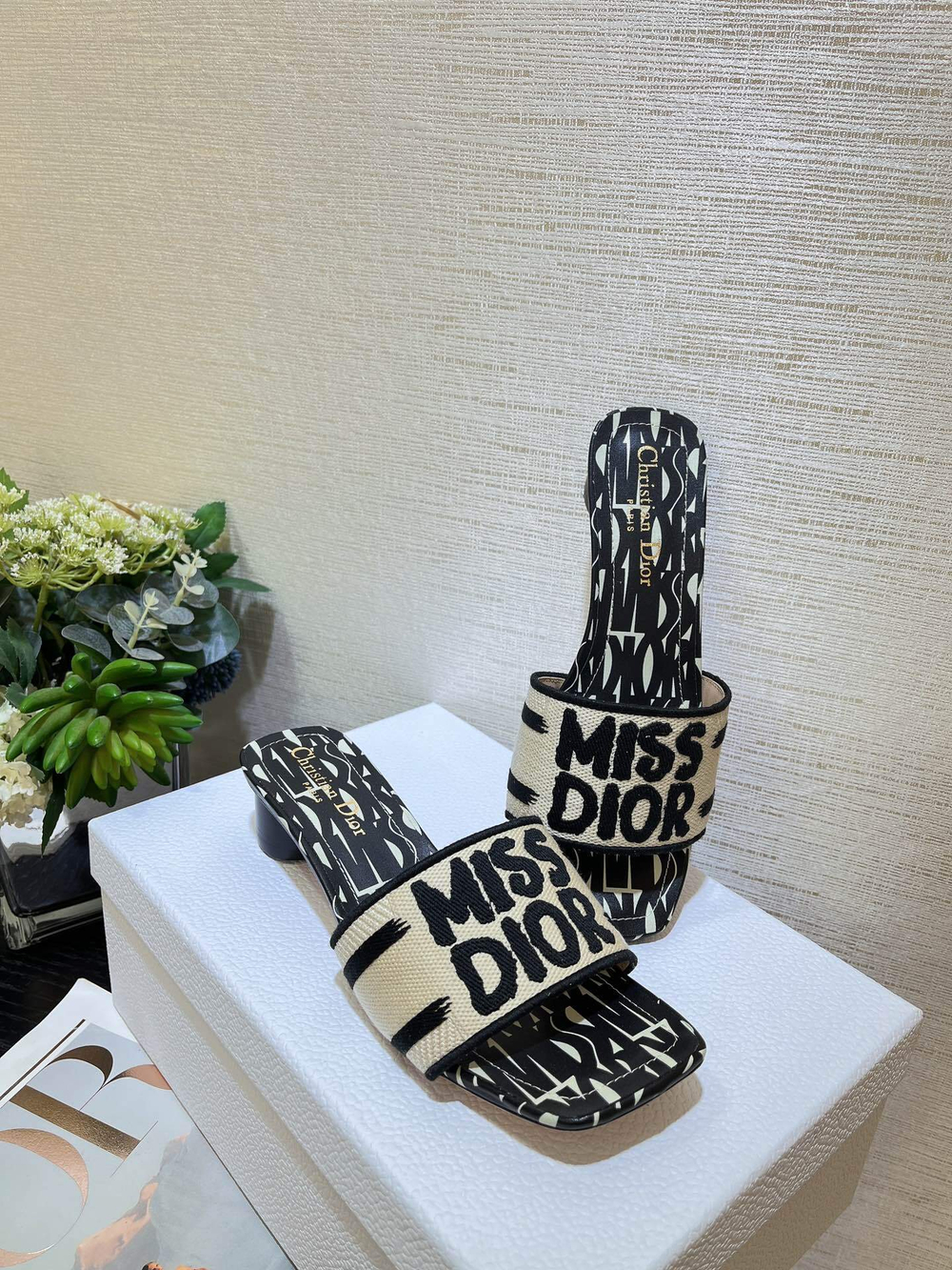 Christian Dior Dway Slide (11 colors)