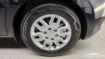 Hyundai Staria Cargo 5인승 (01.2023)