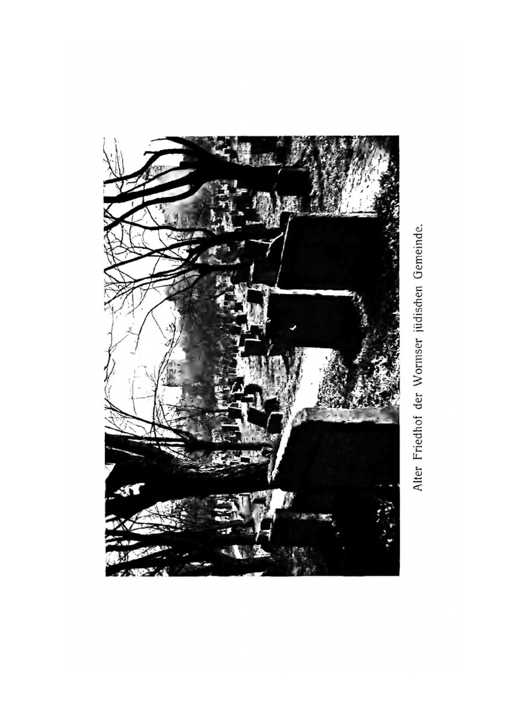 Zur Geschichte der Wormser jüdischen Gemeinde. Ihrer Friedhöfe und ihres Begräbniswesens | Max Levy