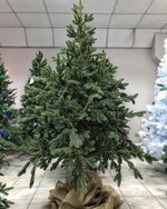 Искусственная ель на ножке «Датская» (хвоя Литая) 150 см / 1.5 м