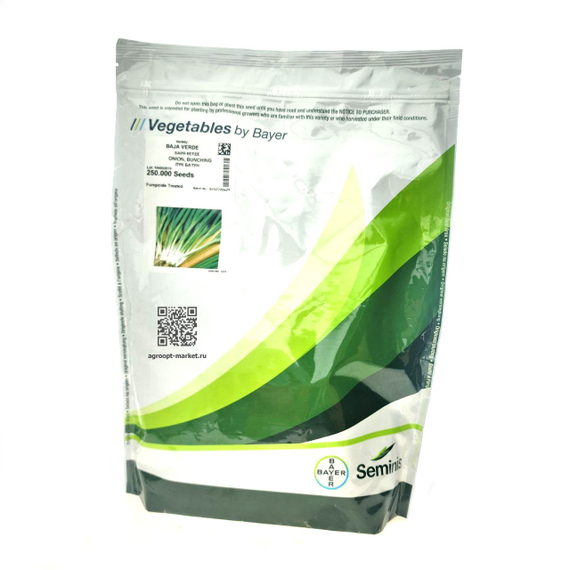 Байя Верде семена лука на перо (Seminis / Семинис) – фото 9