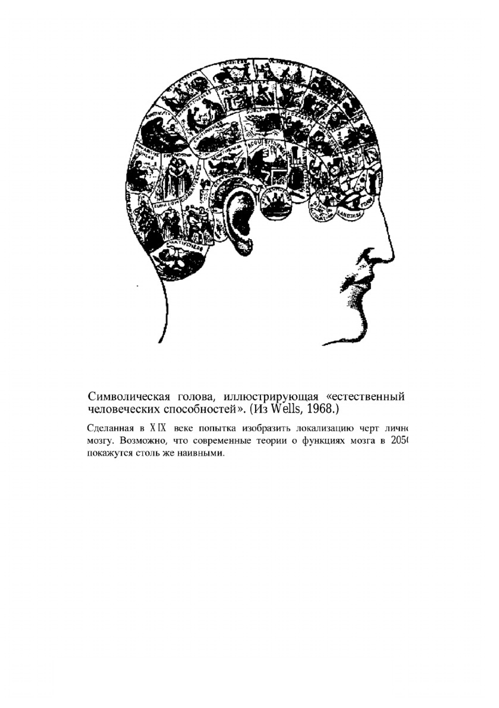 Введение в психофизиологию | Д. Хэссет