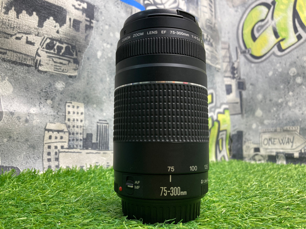 Canon EF 75-300mm 4-5.6 III