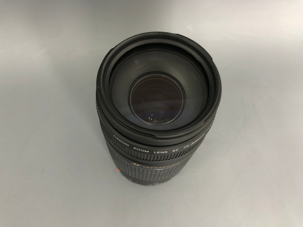 Canon EF 75-300mm 4-5.6 III