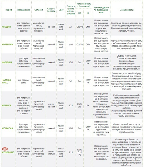 Клодин F1 семена огурца партенокарпического (Seminis /ALEXAGRO) упаковка – фото 8