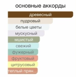 Парфюмерная вода для мужчин "MEN'S CLUB CLASSIC" 90мл Россия