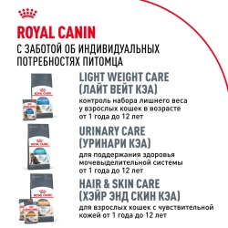 Royal canin maine coon adult сухой корм для взрослых кошек породы мейн - кун - 400 г