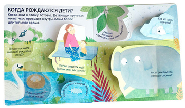 40 окошек. Откуда берутся дети