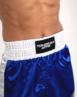 Шорты для бокса Tomorrow Star синие