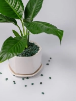 Дренаж для цветов и растений микс зелёный