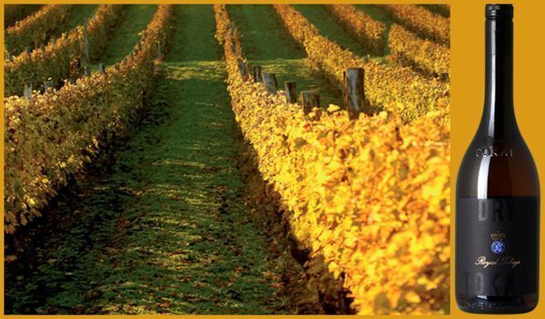 Вино недели с 12 марта - Royal Tokaji Dry Tokaji