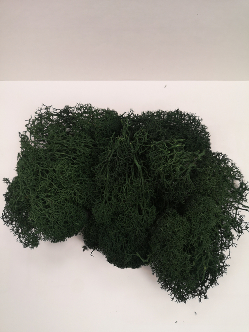 Мох для изготовления кустов и деревьев (зеленая ель)