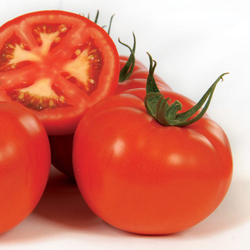 Томат Гамзе F1 (25шт) Витагрин Профи