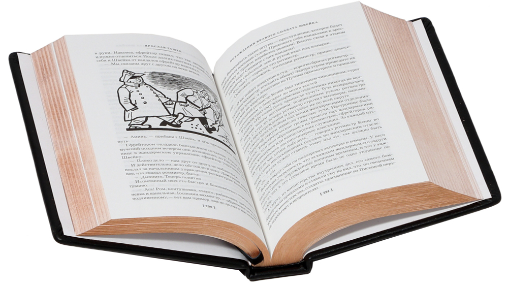 Похождения бравого солдата Швейка