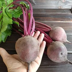 Свекла домашняя с ботвой / 1 кг