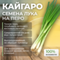 КАЙГАРО семена лука на перо (Enza Zaden) купить