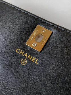 Chanel Bag (2 variants)