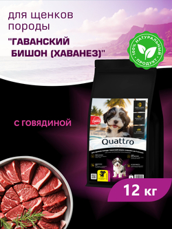 Корм сухой для щенков породы Гаванский бишон (Хаванез), с говядиной, 12 кг, QUATTRO