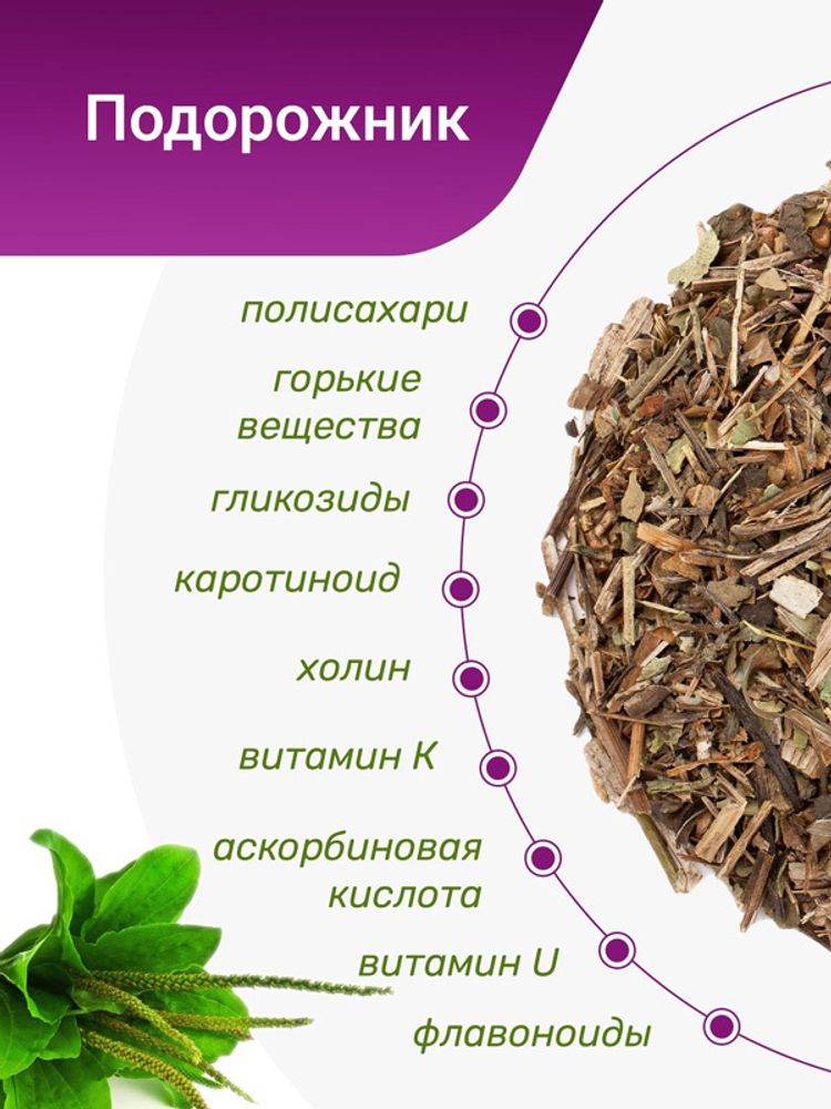 Подорожник