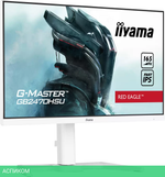 Монитор Iiyama Red Eagle G-Master GB2470HSU-W5