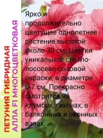 Петуния многоцветковая Алла F1