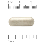 California Gold Nutrition, Think Support, с гинкго билоба, тюбетейкой, готу колой, бакопой и ферментами, 60 растительных капсул