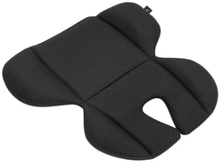 Коляска Carrello Vector 2025 CRL-6551 Ammonite AY329 Pro Absolute Black с базой Isofix 3 в 1 Golden Beige