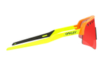 Oakley Plastic Irregular Shape Очки