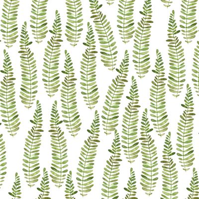 Акварельный папоротник