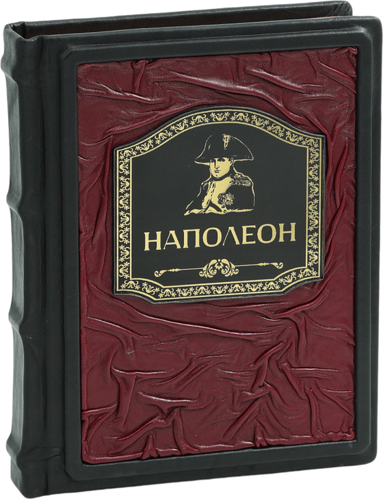 Наполеон. Иллюстрированное издание
