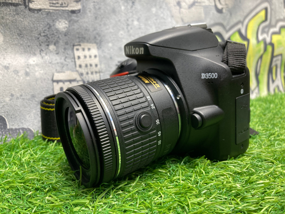 Nikon D3500 + 18-55mm 3.5-5.6G VR (1700 кадров)